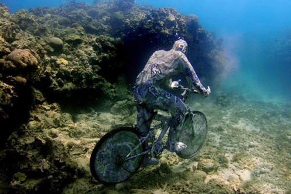 velo.jpg