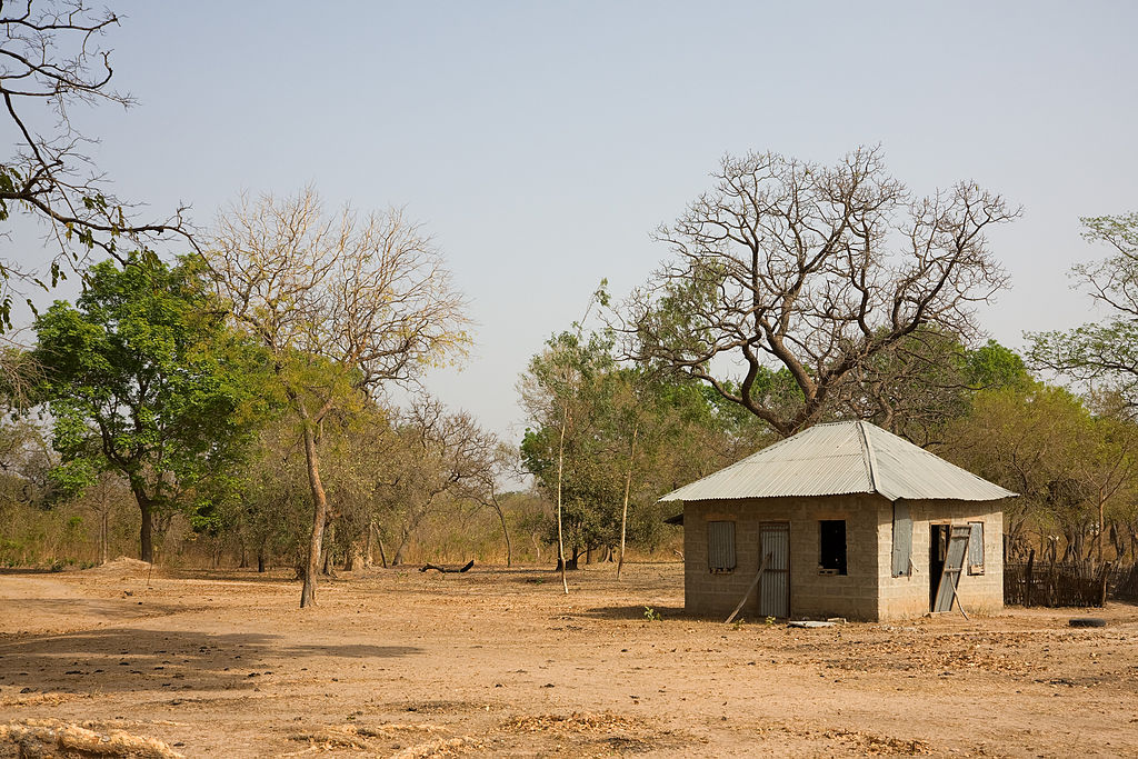 Природа Банжула Природа Банжула