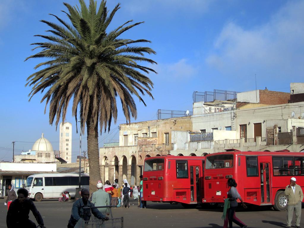 Автобусы Асмэры Автобусы Асмэры