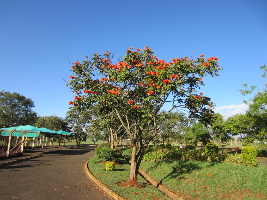 Погода и климат в Кении Погода и климат в Кении