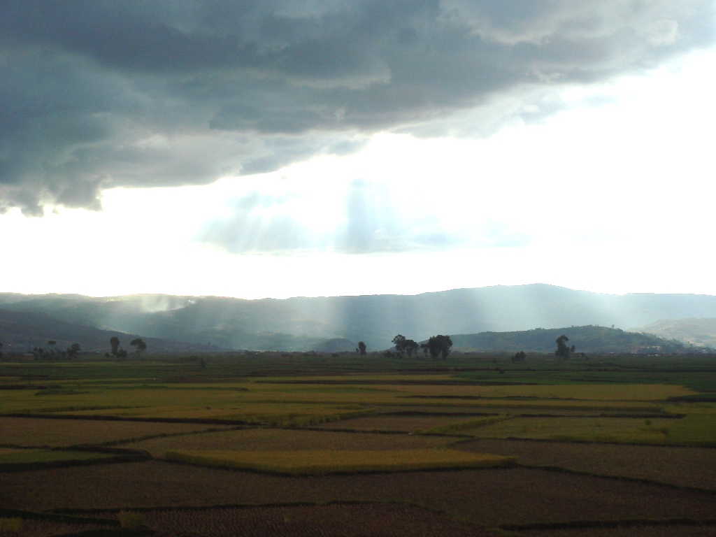 сельско-хозяйственные угодья сельско-хозяйственные угодья