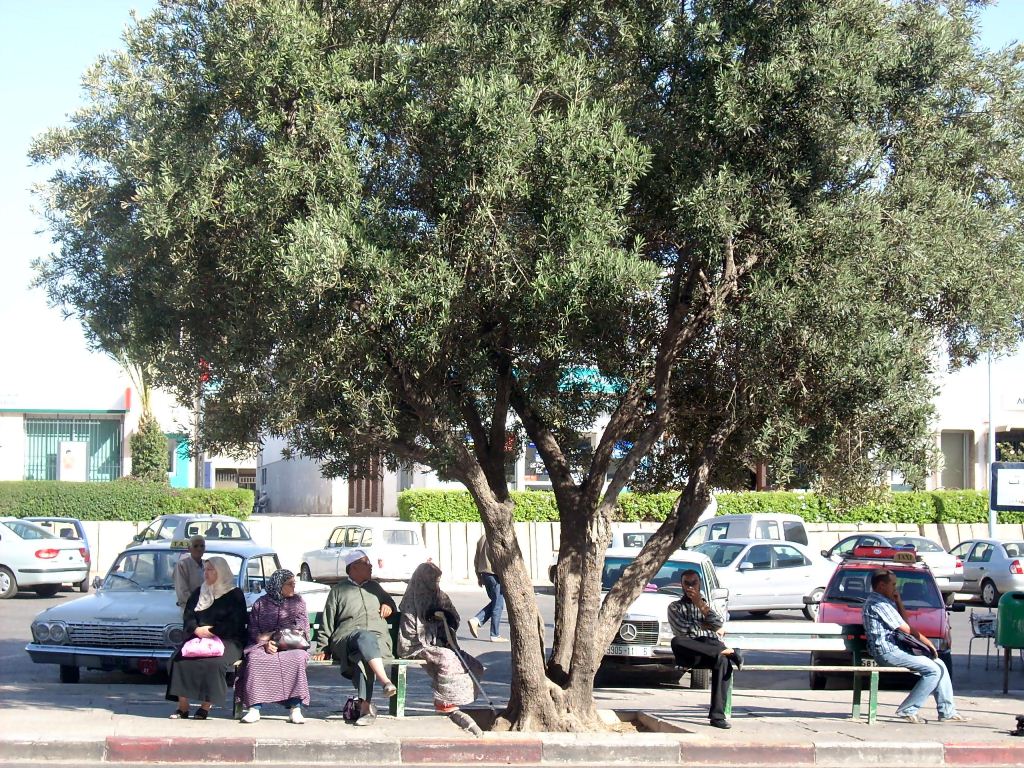 Жители Агадира Жители Агадира