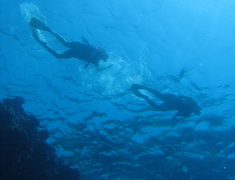 Дайвинг в Сен-Дени Дайвинг в Сен-Дени
