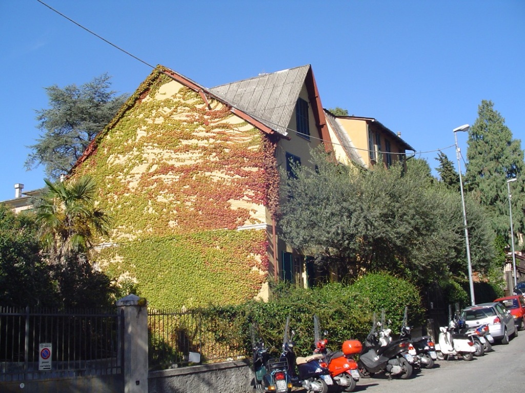 Проживание в Сомали Проживание в Сомали