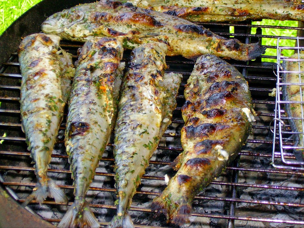 рыба на гриле рыба на гриле
