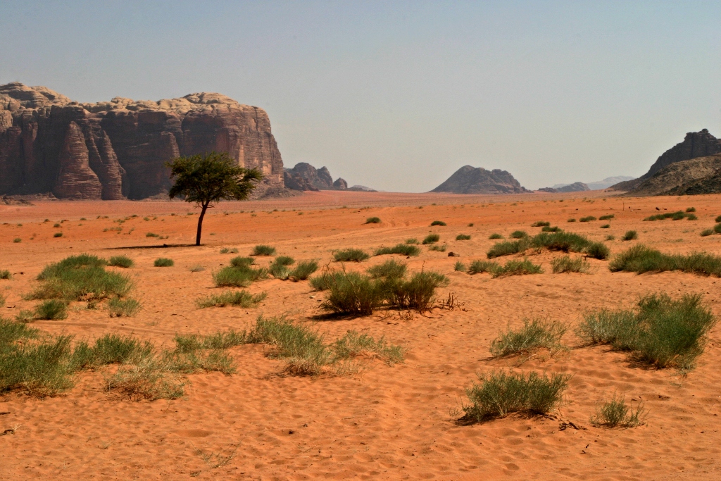 Пустыня Иордании