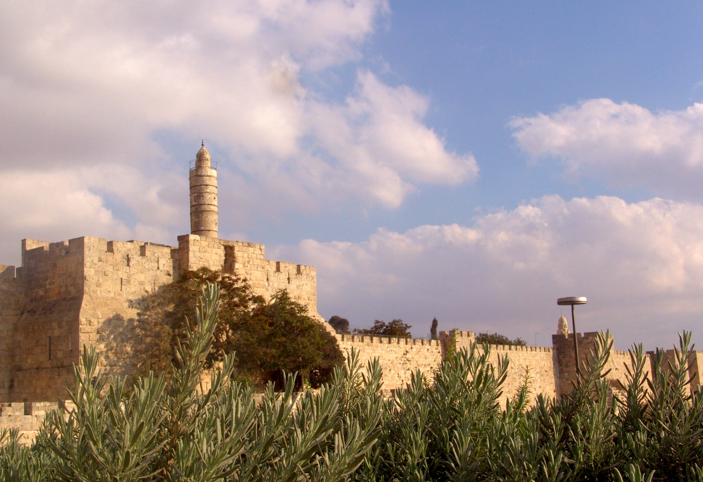 Башня Давида Башня Давида