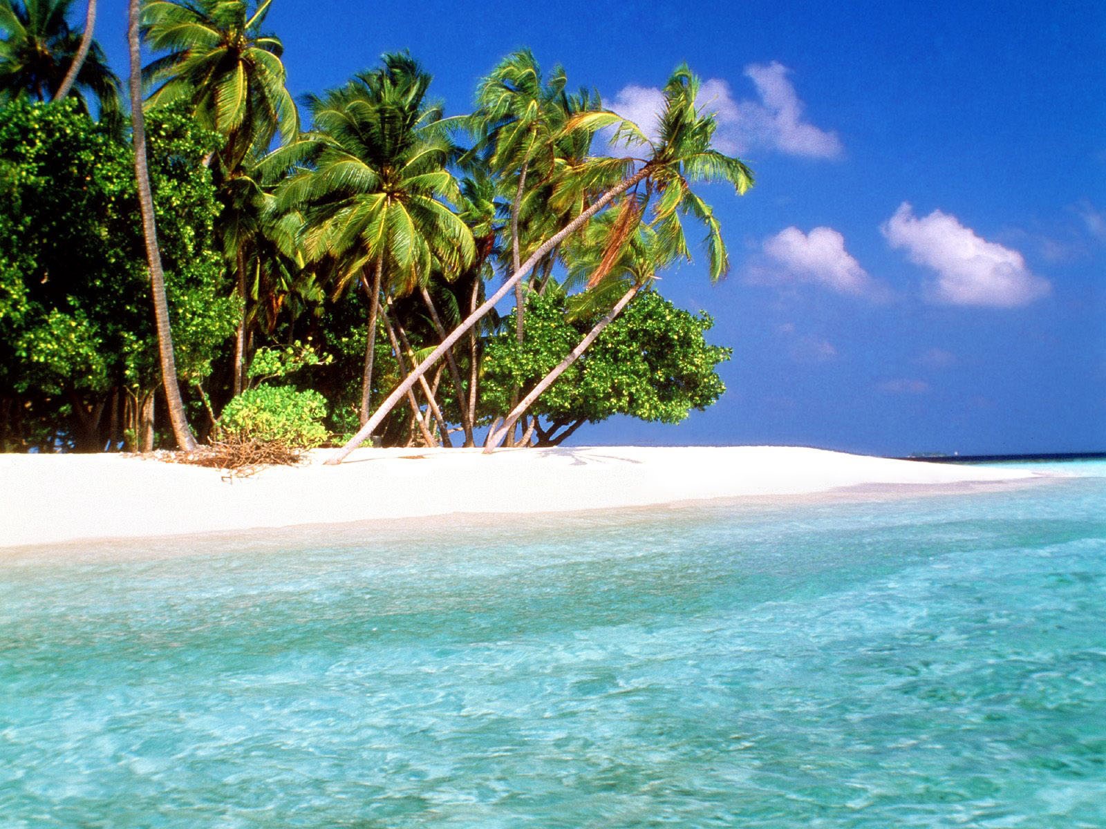 Берег Мальдивских островов