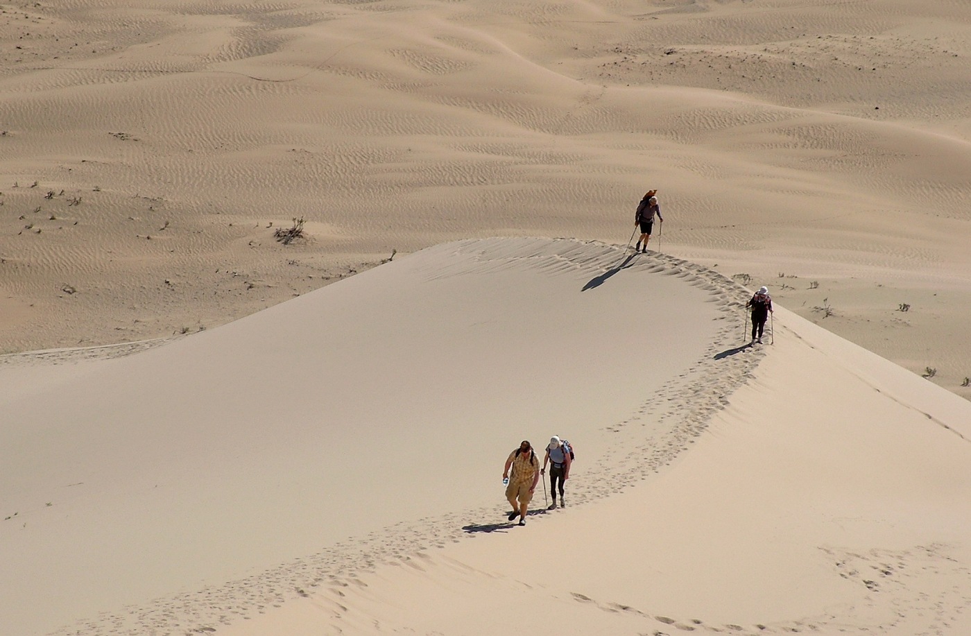 пустыня в Монголии