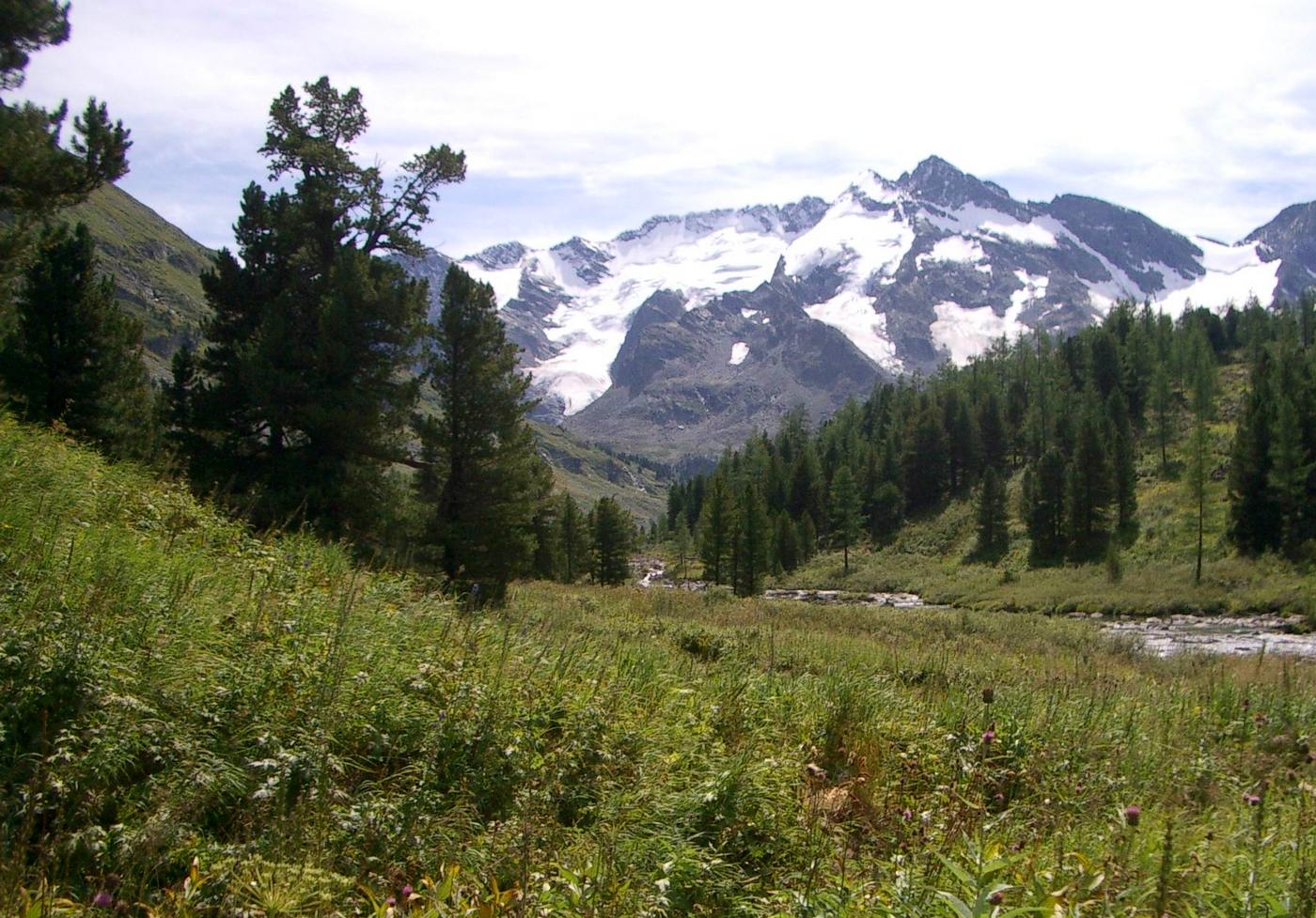 Алтайские горы Алтайские горы