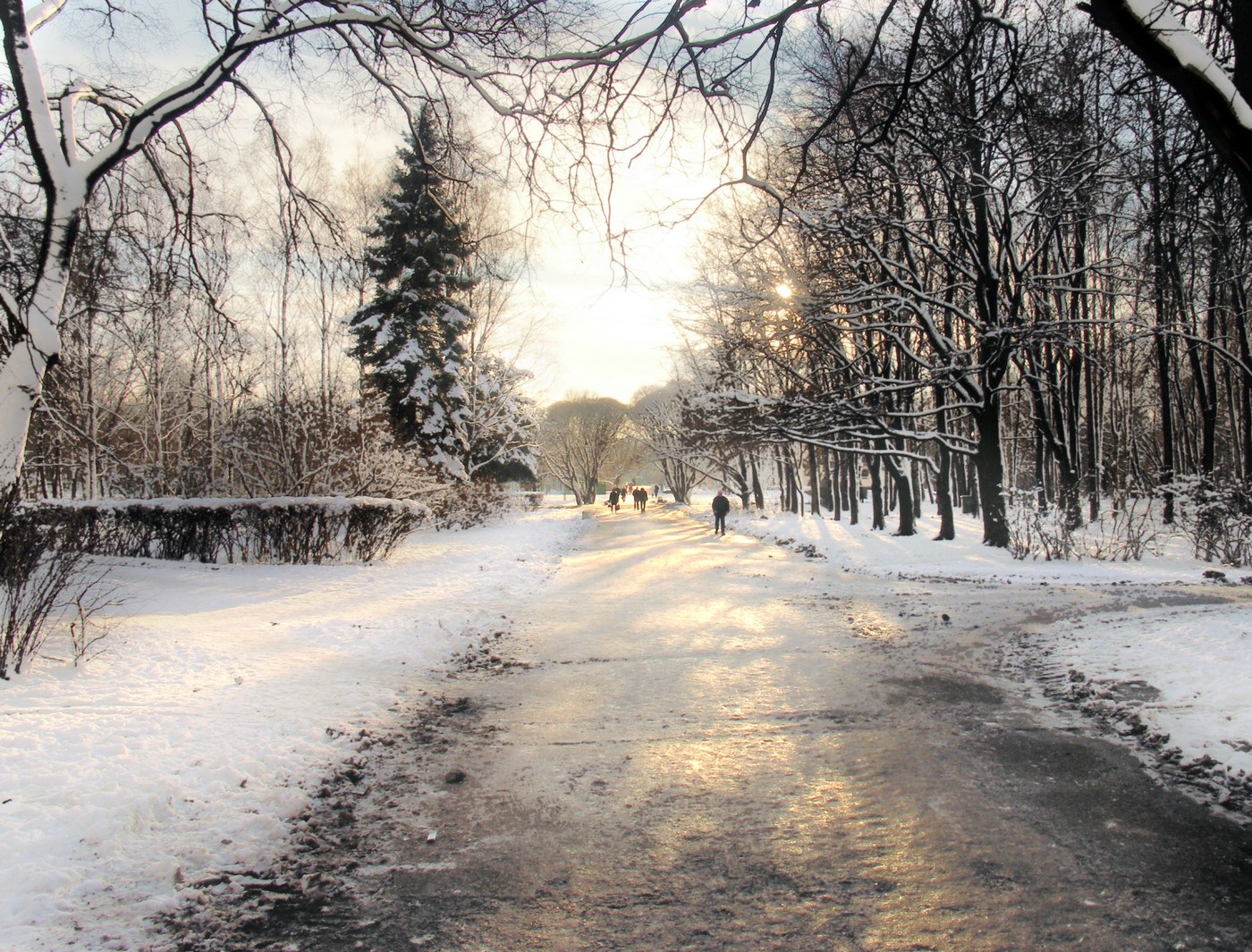 зимний парк в Санкт-Петербурге