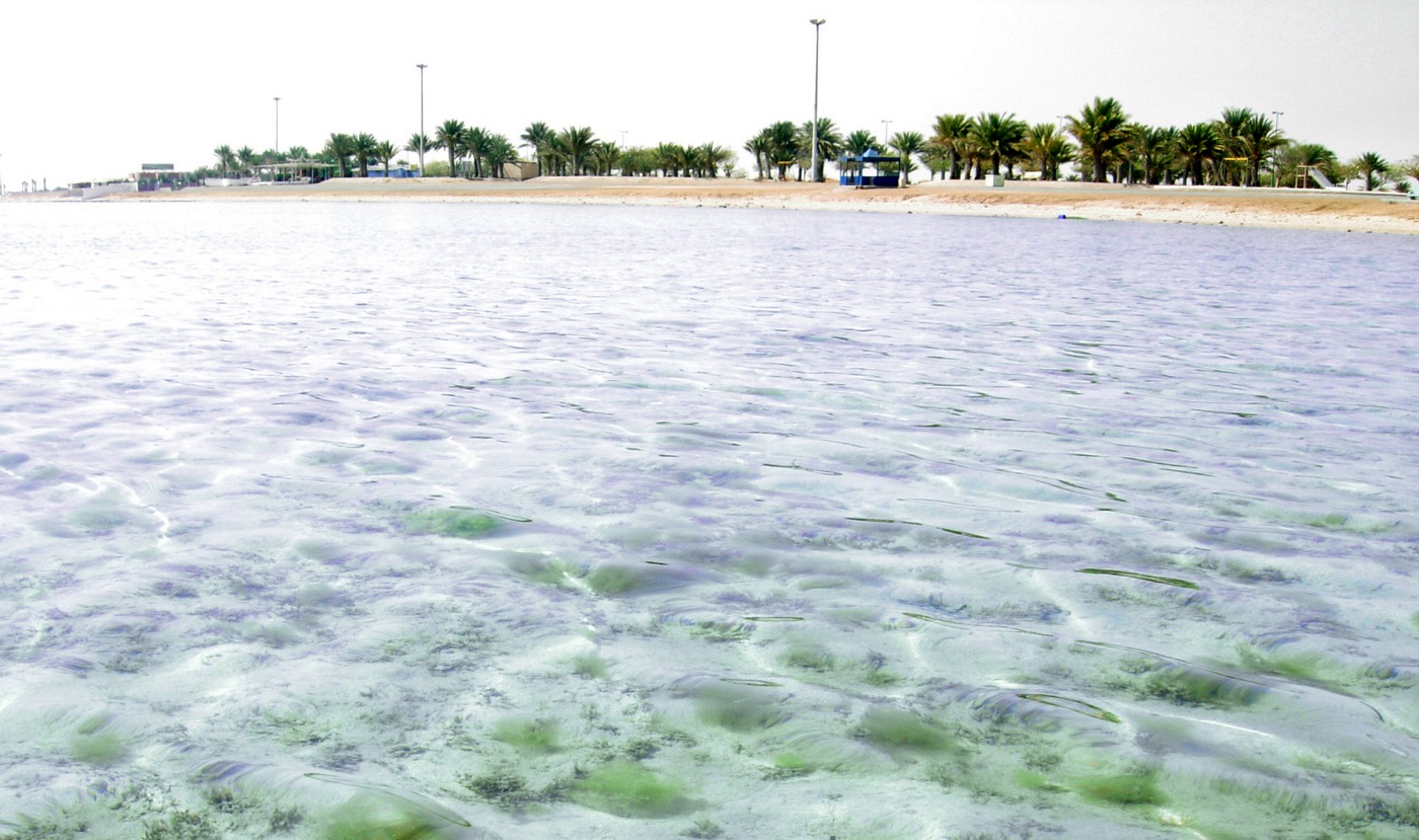 побережье Красного моря побережье Красного моря