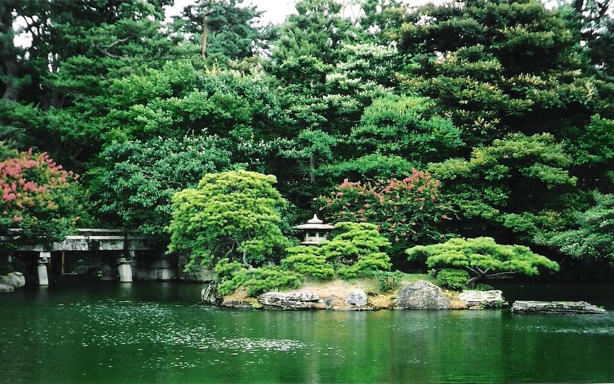 Сад Бонсай Сад Бонсай