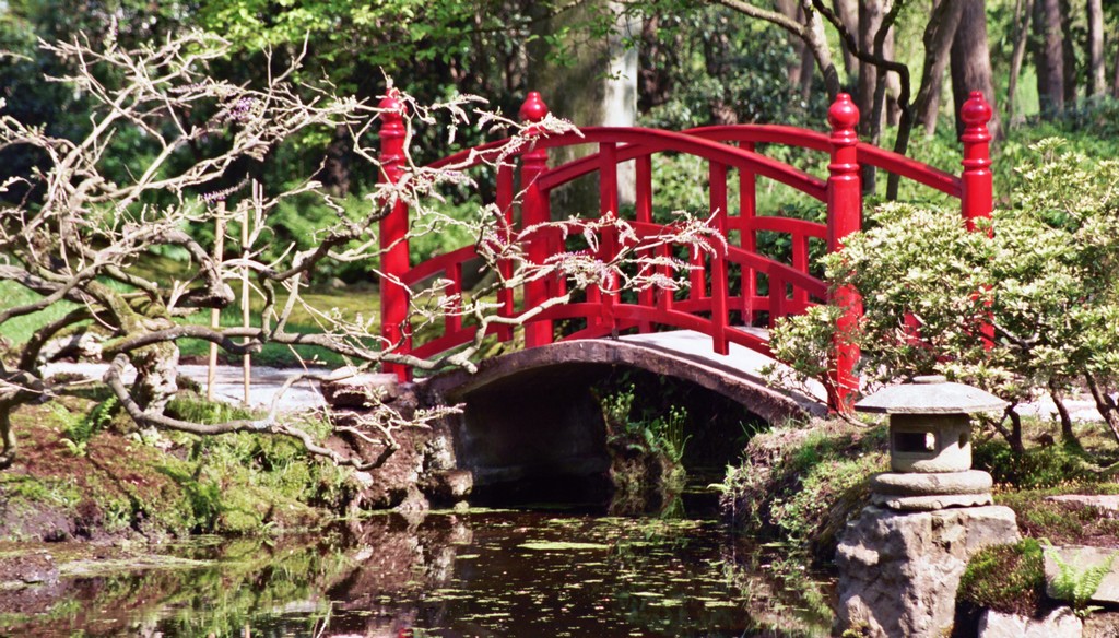 городской парк городской парк