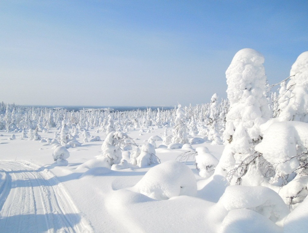 PIC09.jpg