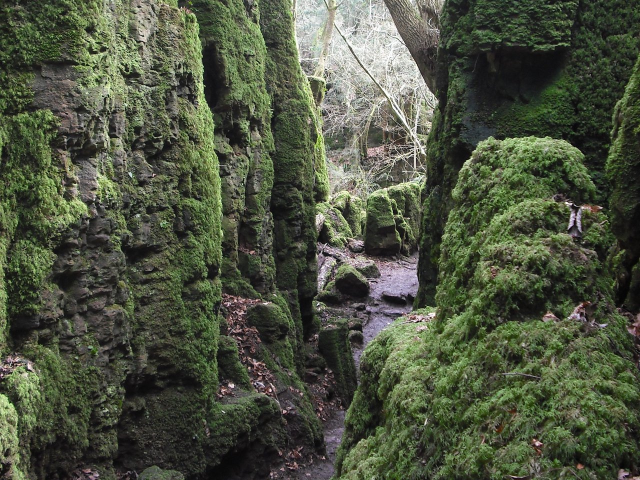Загадочный Пазлвуд Загадочный Пазлвуд