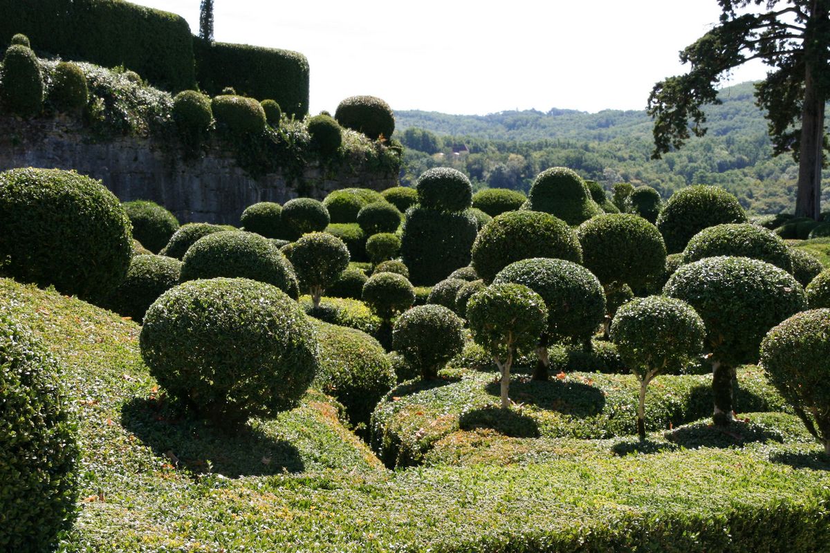 Сады Маркессака — ландшафтное чудо Франции