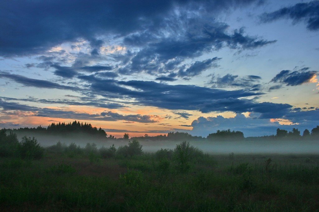 Туман Туман