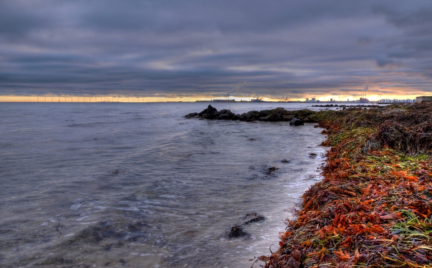 Береговая линия возле Копенгагена Береговая линия возле Копенгагена