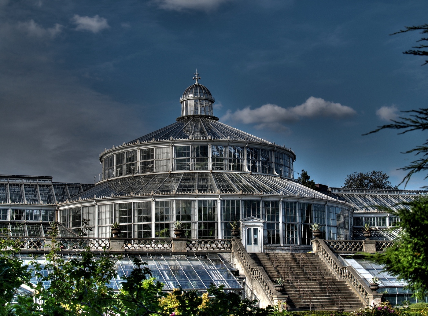 Greenhouse в Копенгагене Greenhouse в Копенгагене