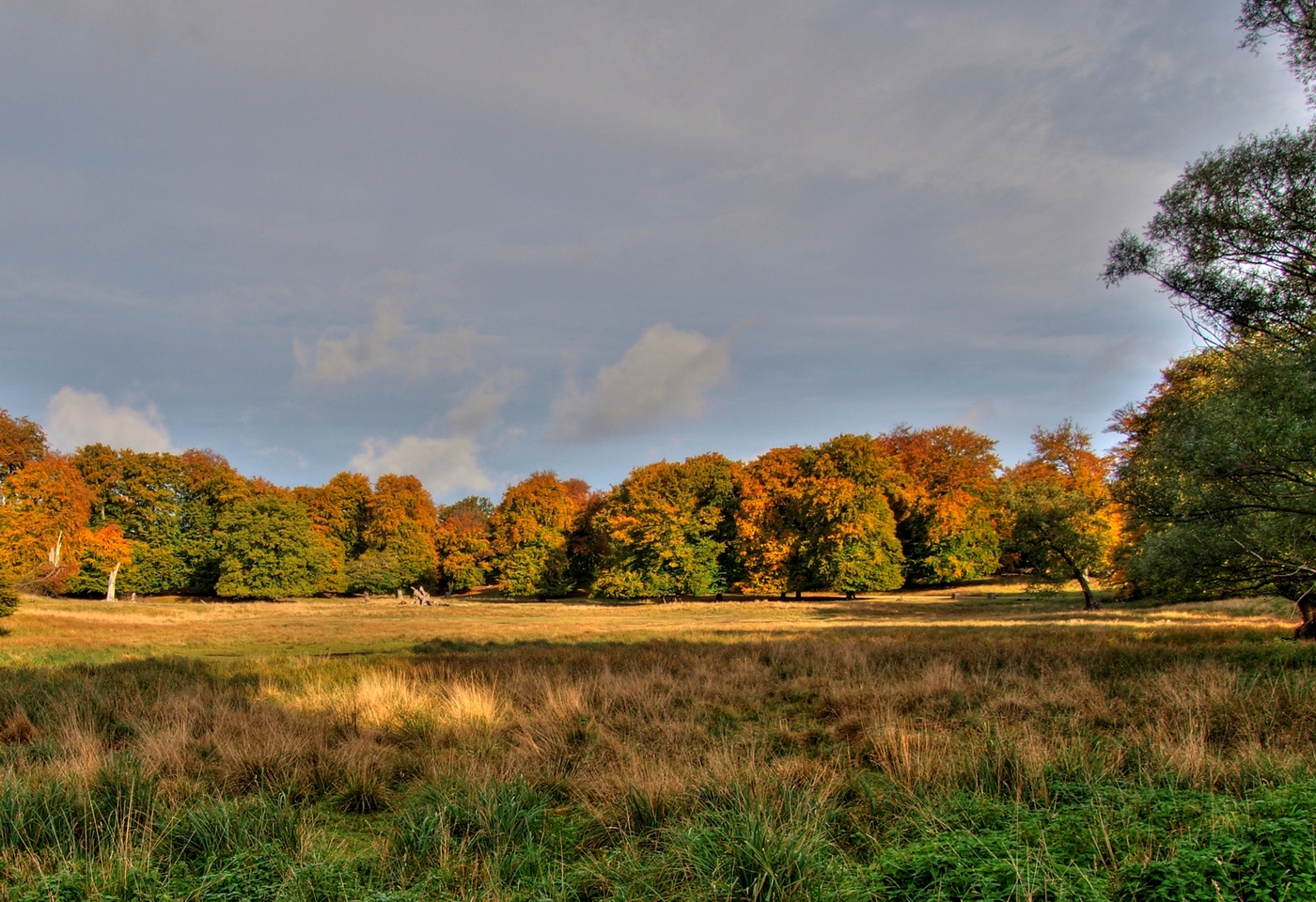 В парке Копенгагена В парке Копенгагена