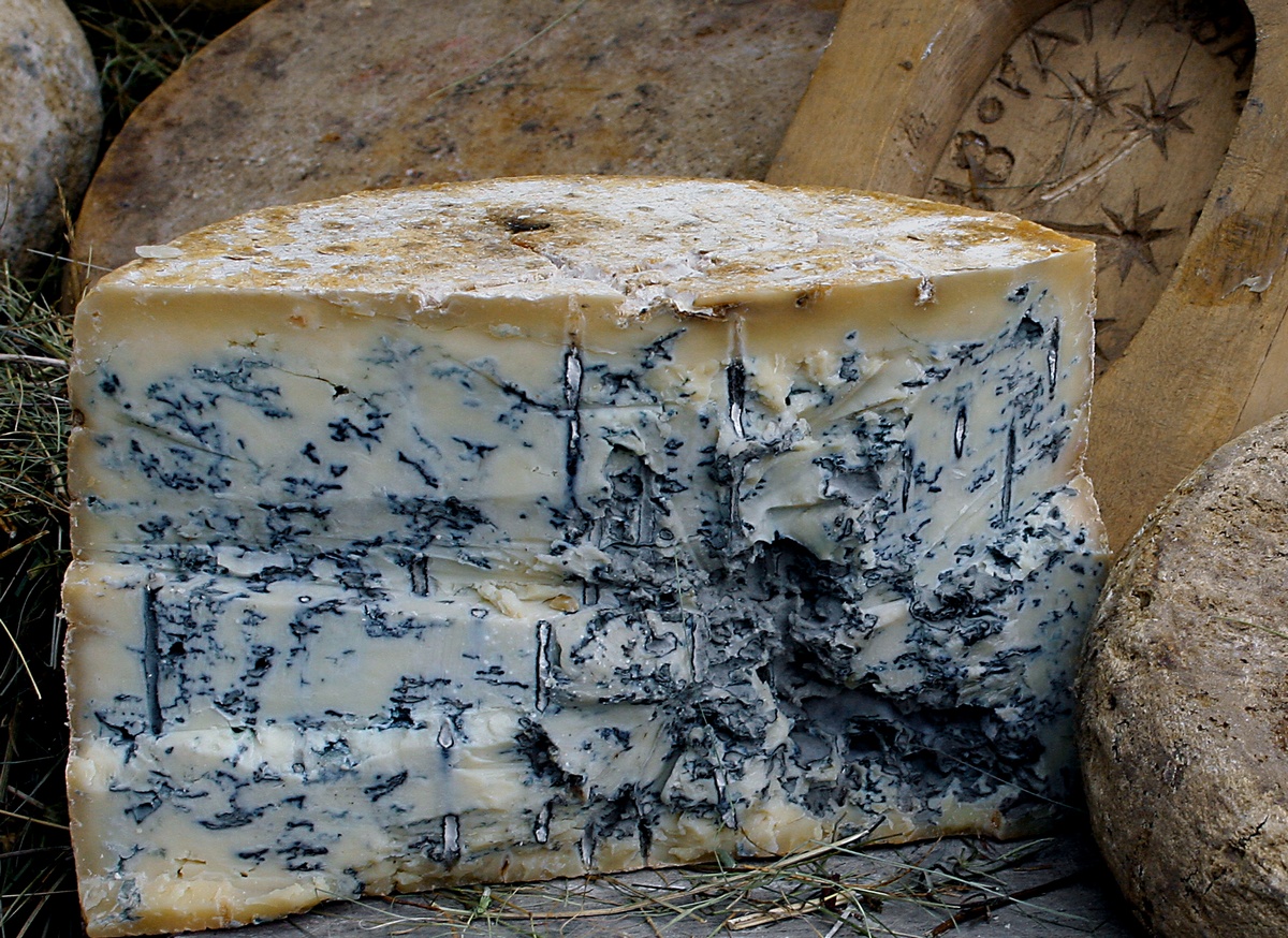 Овечий сыр с голубой плесенью