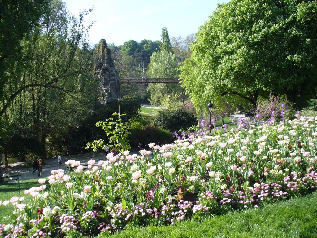 Парижские тюльпаны Парижские тюльпаны
