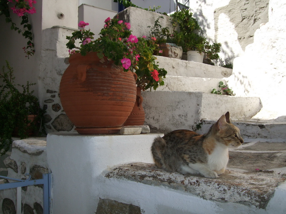 безопасность безопасность