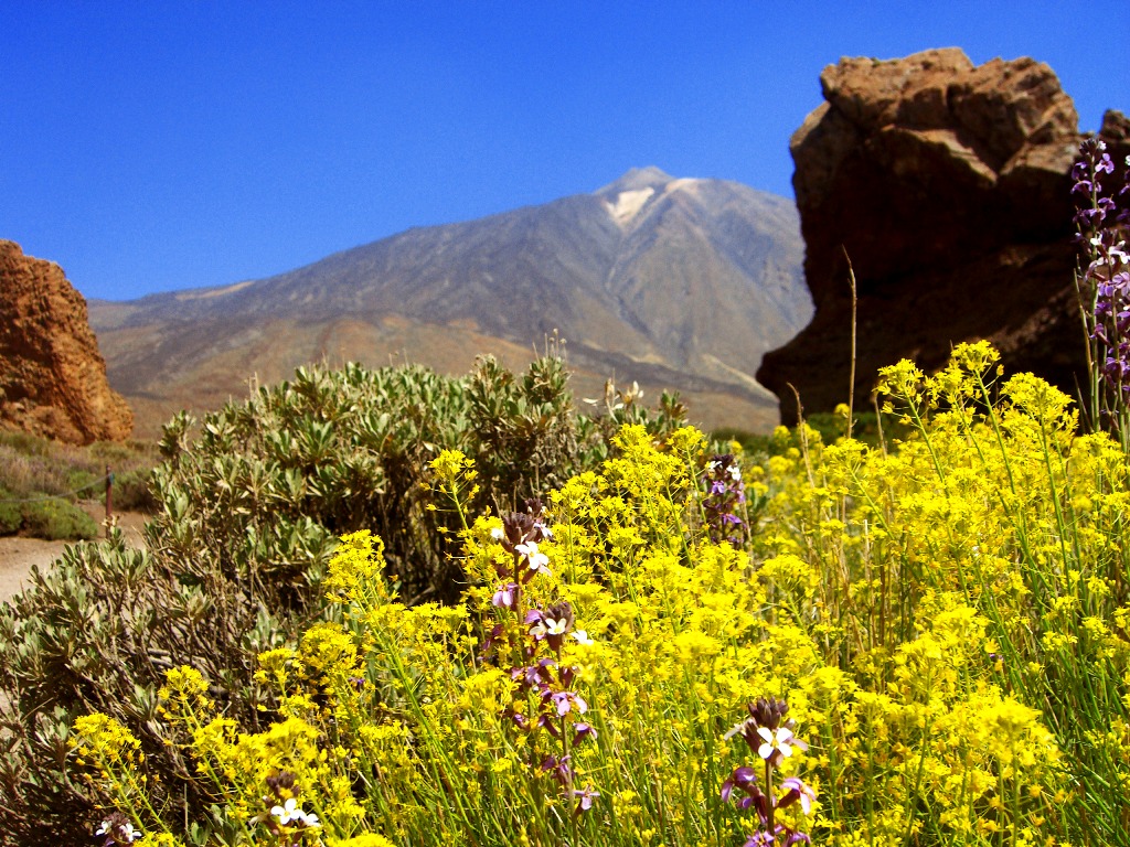 природа островов природа островов