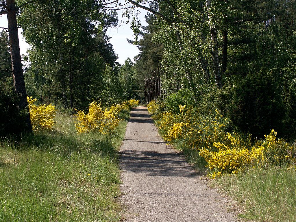 природа вблизи города Неринга природа вблизи города Неринга