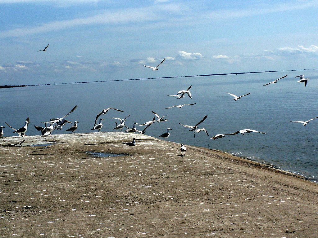 Куршский залив Куршский залив
