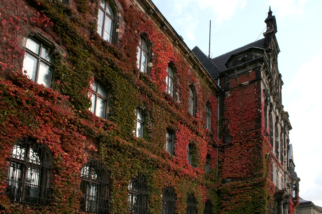 Национальный музей во Вроцлаве Национальный музей во Вроцлаве