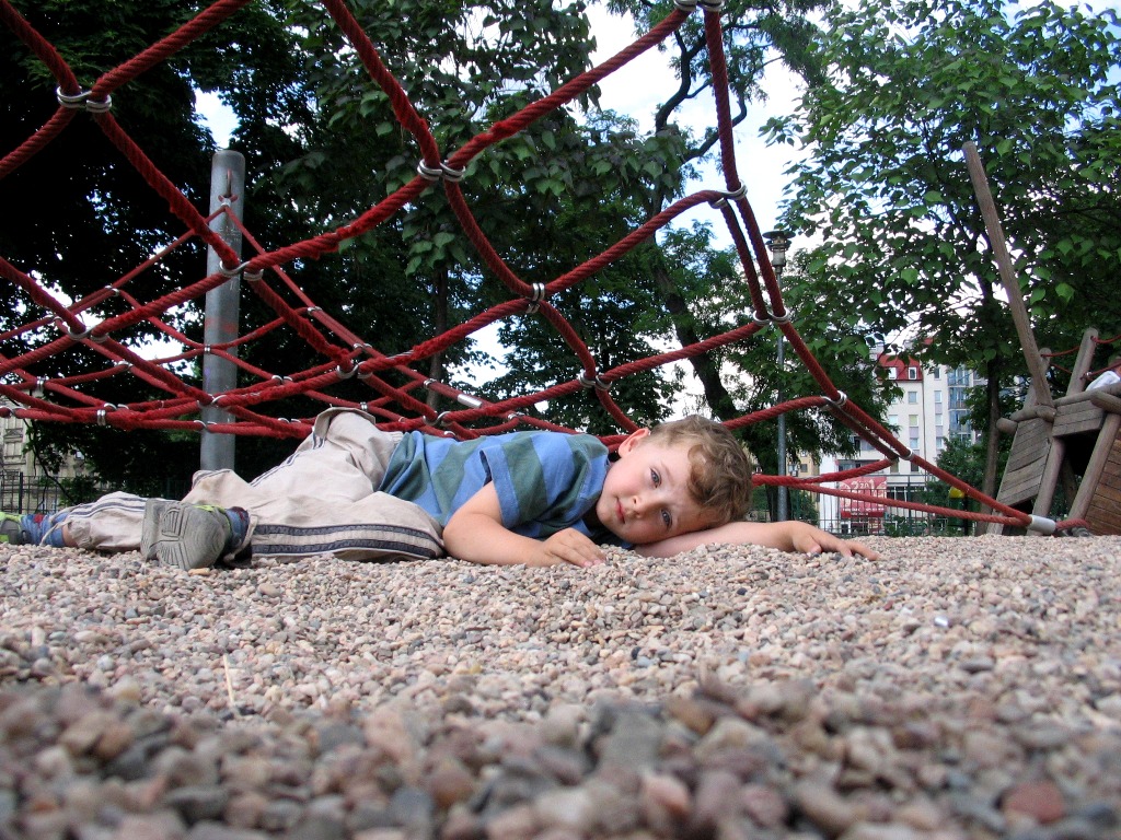 на улицах города на улицах города