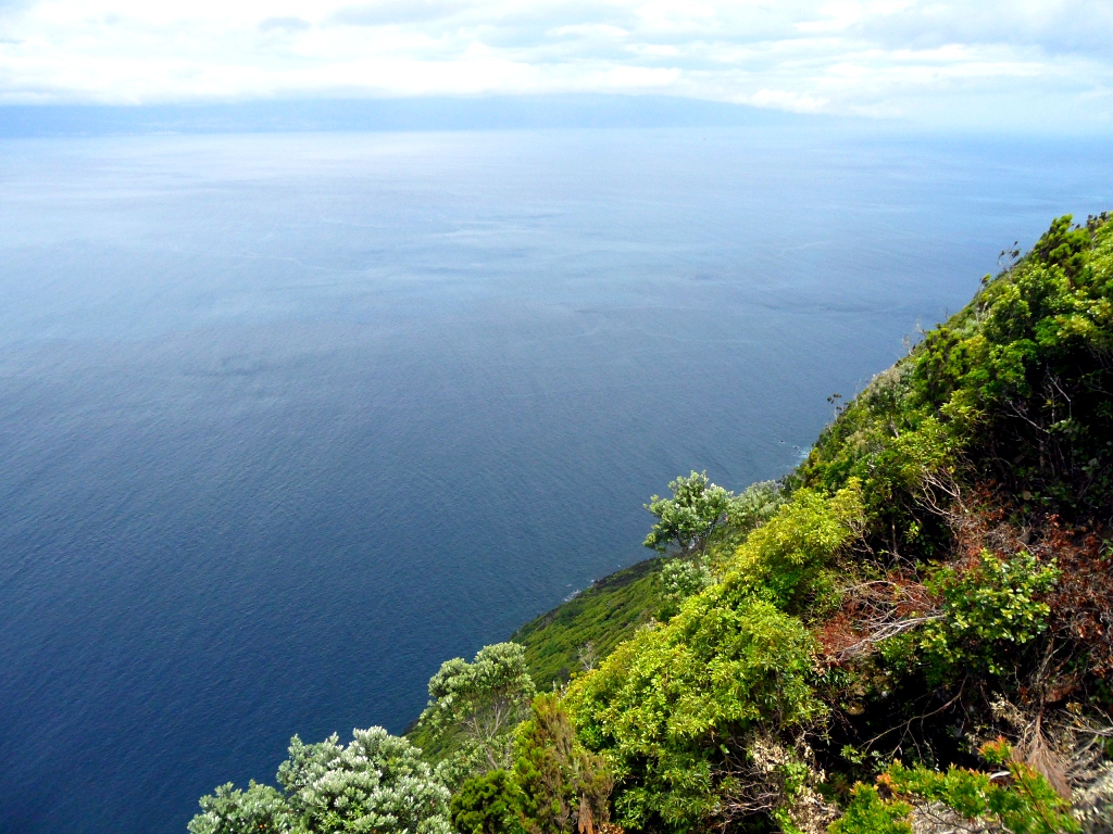 Вид с горы на океан Вид с горы на океан