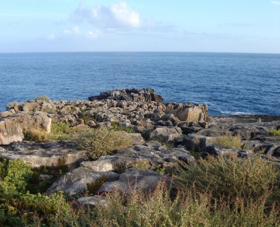 побережье Атлантического океана побережье Атлантического океана