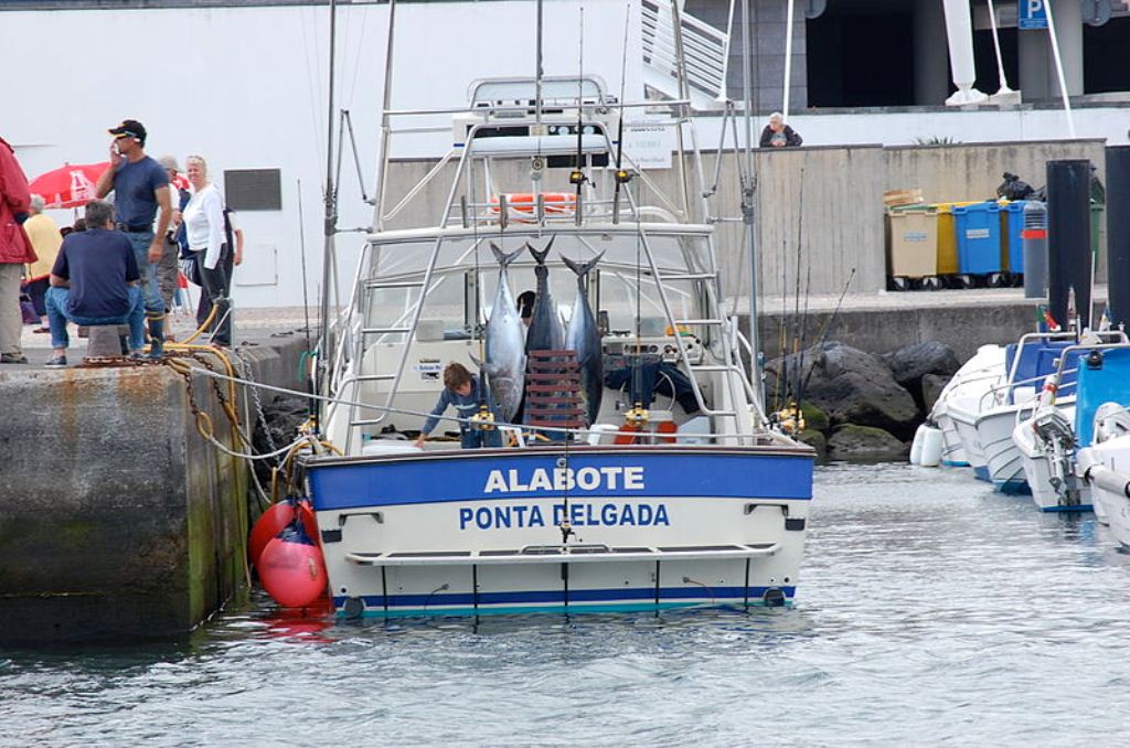 Бизнес-климат в Понта-Делгада Бизнес-климат в Понта-Делгада
