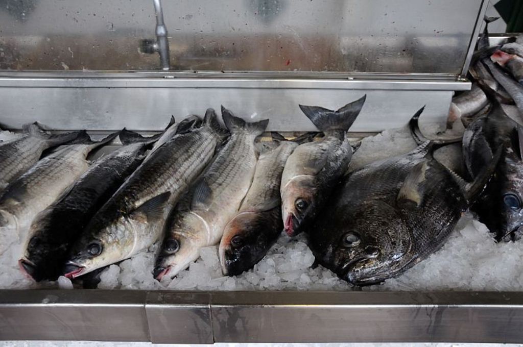 Свежая рыба в Понта-Делгада Свежая рыба в Понта-Делгада