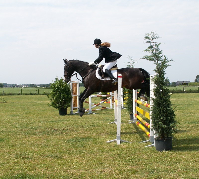 скачки скачки