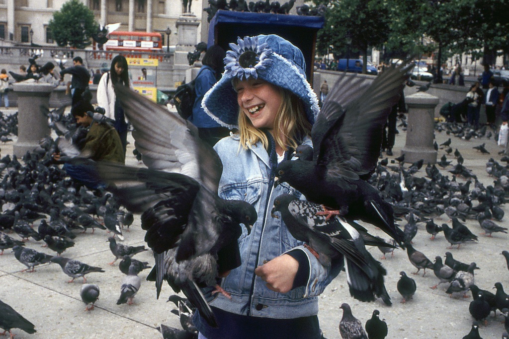 Трафальгарская площадь Трафальгарская площадь