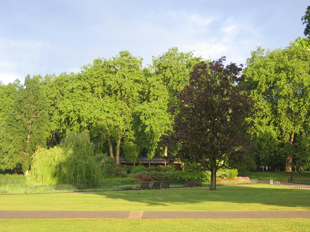 городской парк городской парк