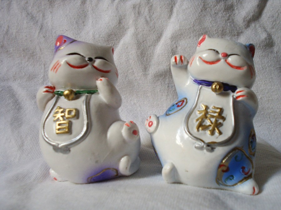 Музей кошки в Москве Музей кошки в Москве