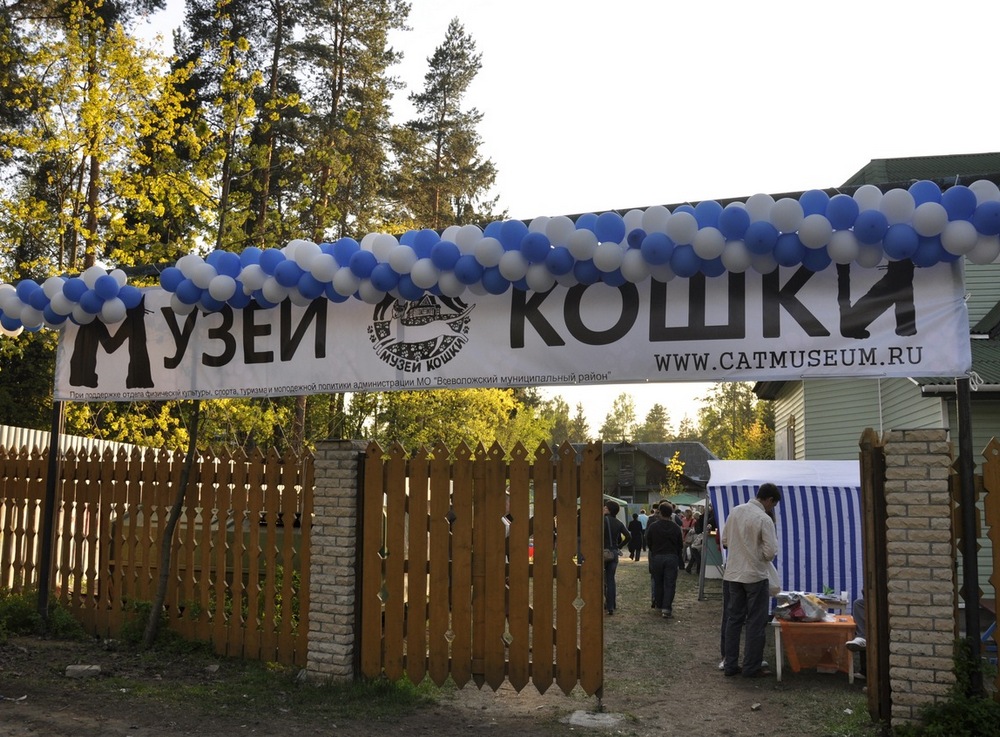 Музей кошки во Всеволожске Музей кошки во Всеволожске