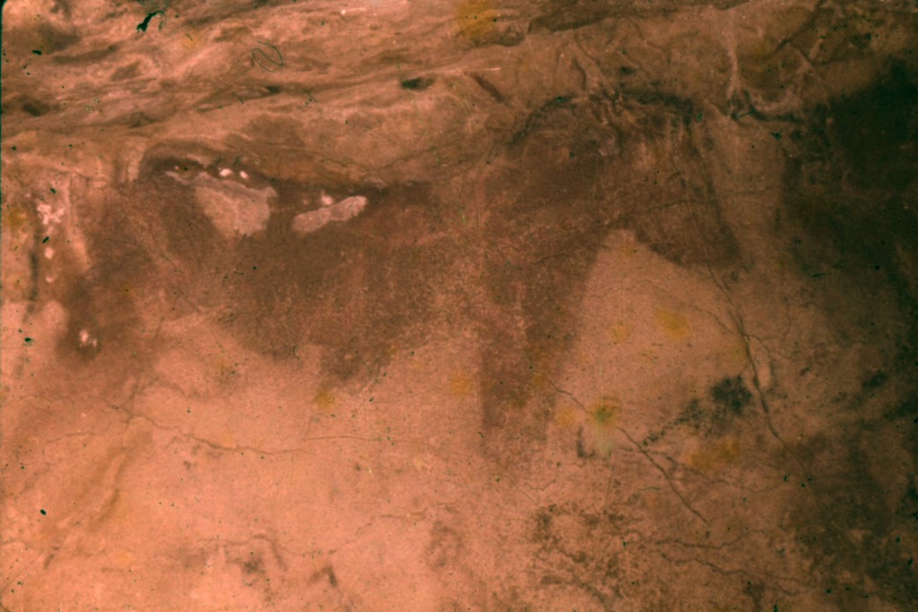 Изображение лошади в пещере Альтамира 