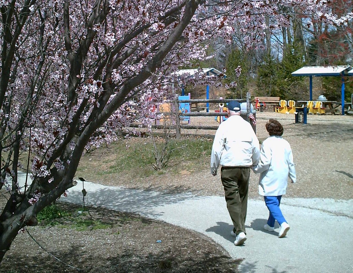 Пожилые люди — основные приверженцы ностальгического туризма Пожилые люди — основные приверженцы ностальгического туризма