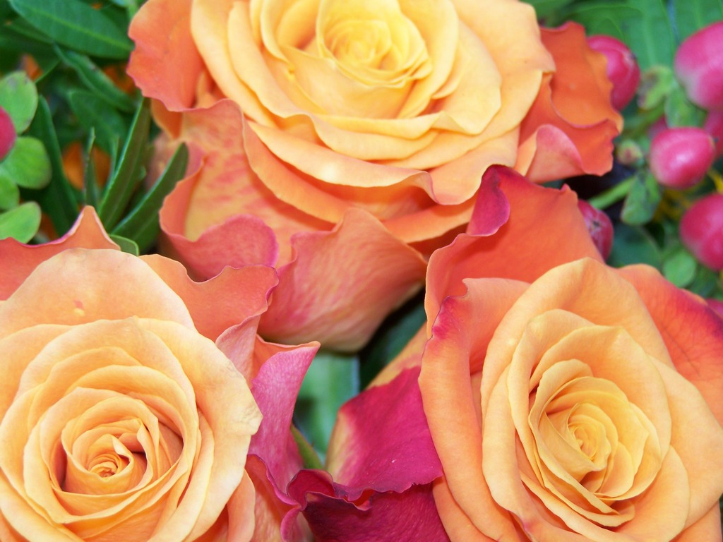 Подарки на День девушек в Исландии Подарки на День девушек в Исландии