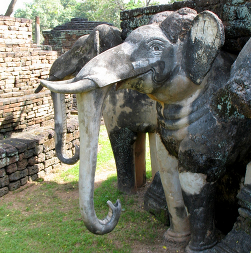 Слоны Таиланда 