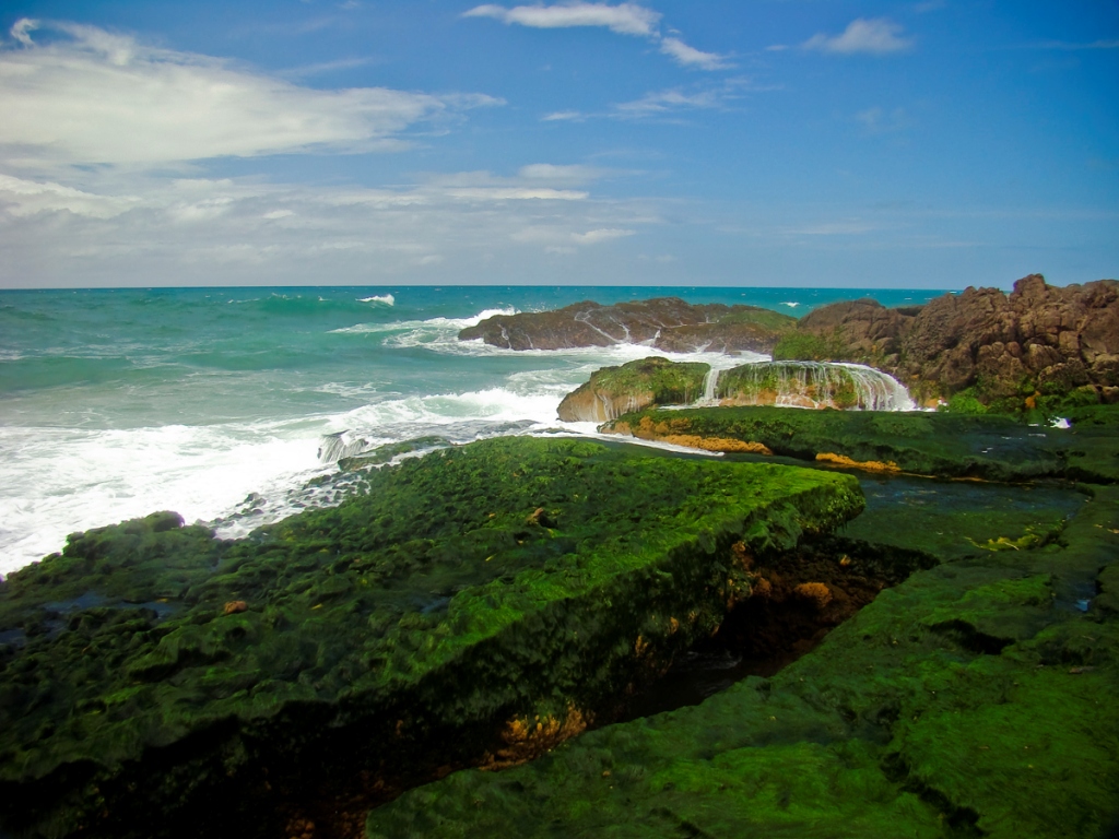 Пейзаж Сальвадора Пейзаж Сальвадора
