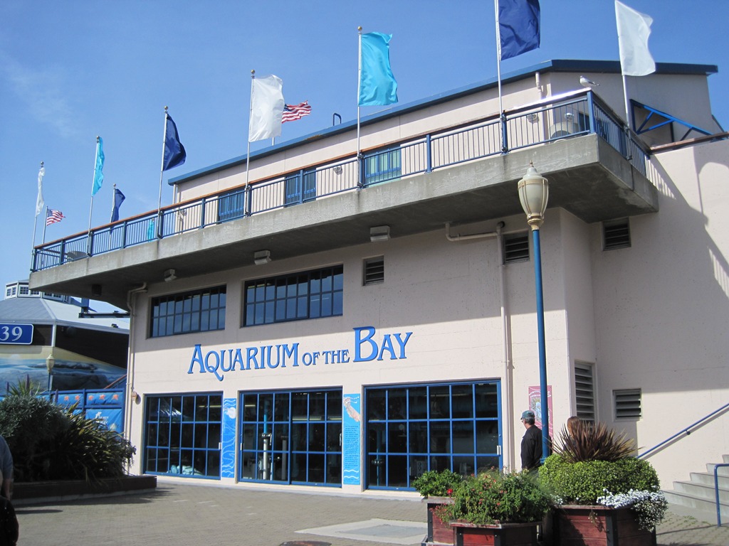 Аквариум Aquarium of the Bay в Сан-Франциско