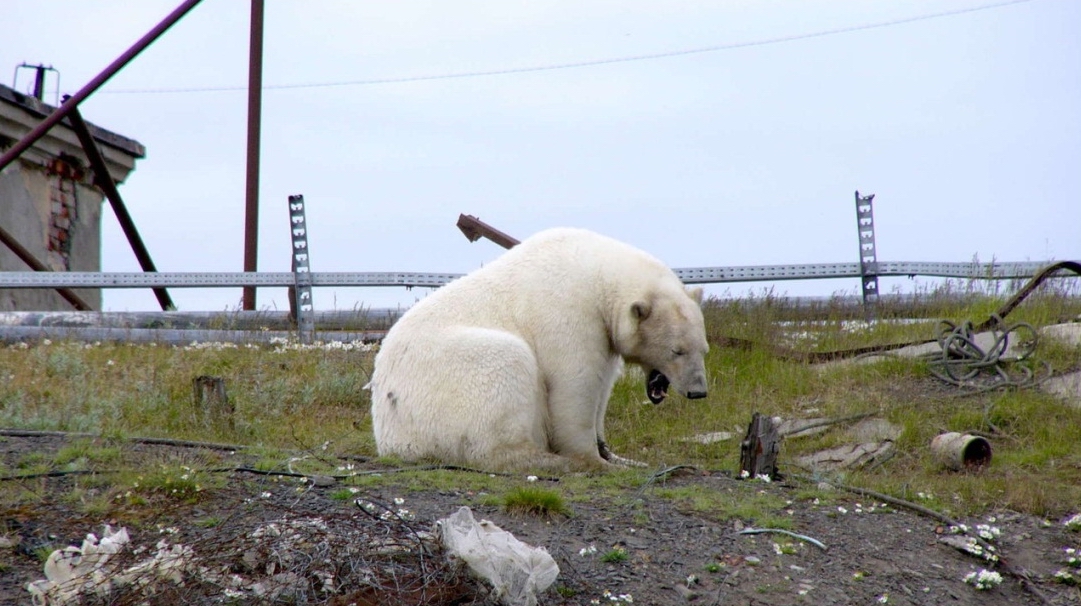 Новая Земля 6-naibolee-zhutkih-jadernyh-poligonov-3.jpg