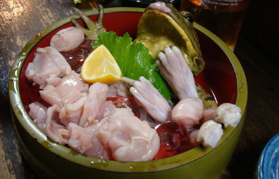 Лягушка-бык 10-opasnyh-ugoshhenij-3.jpg